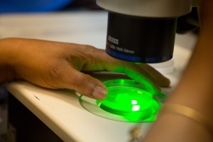 Stay Connected to Biotech at Brown